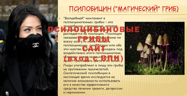 PSILOCYBIN Кулебаки